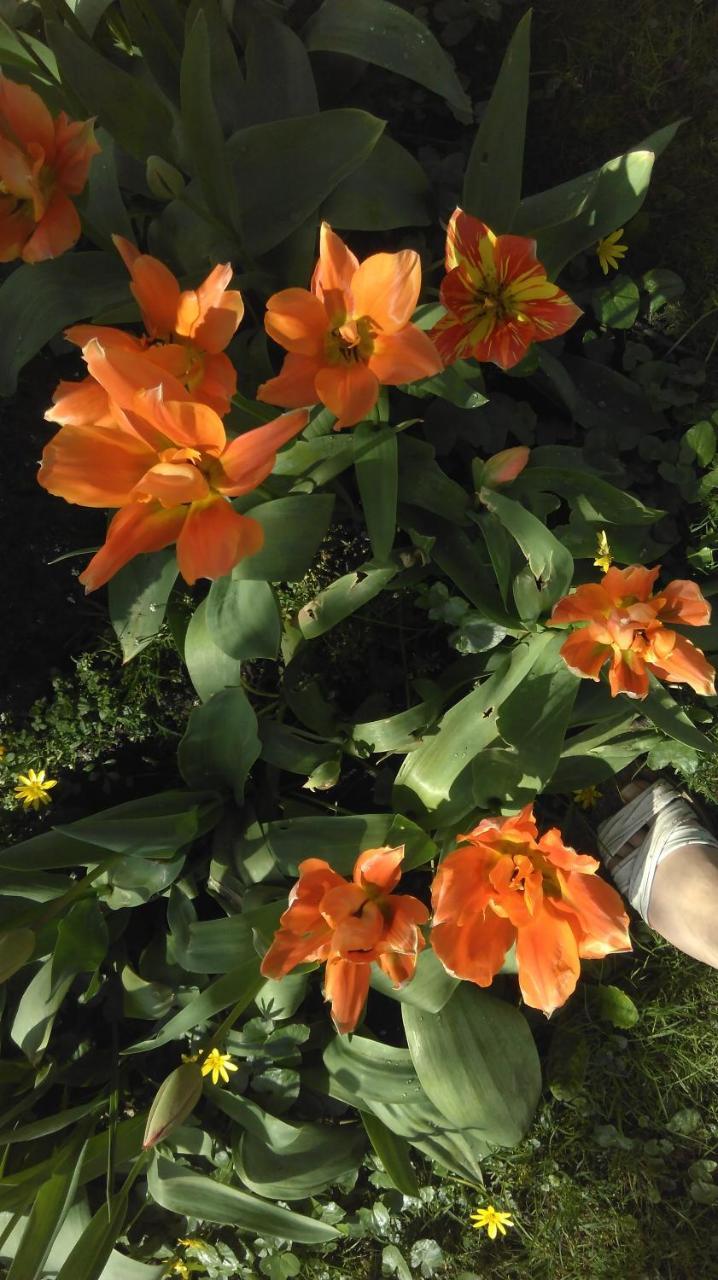 Le Jardin D'Eden - Hebergement Ferme Provisoirement Bed & Breakfast Giverny Exterior photo