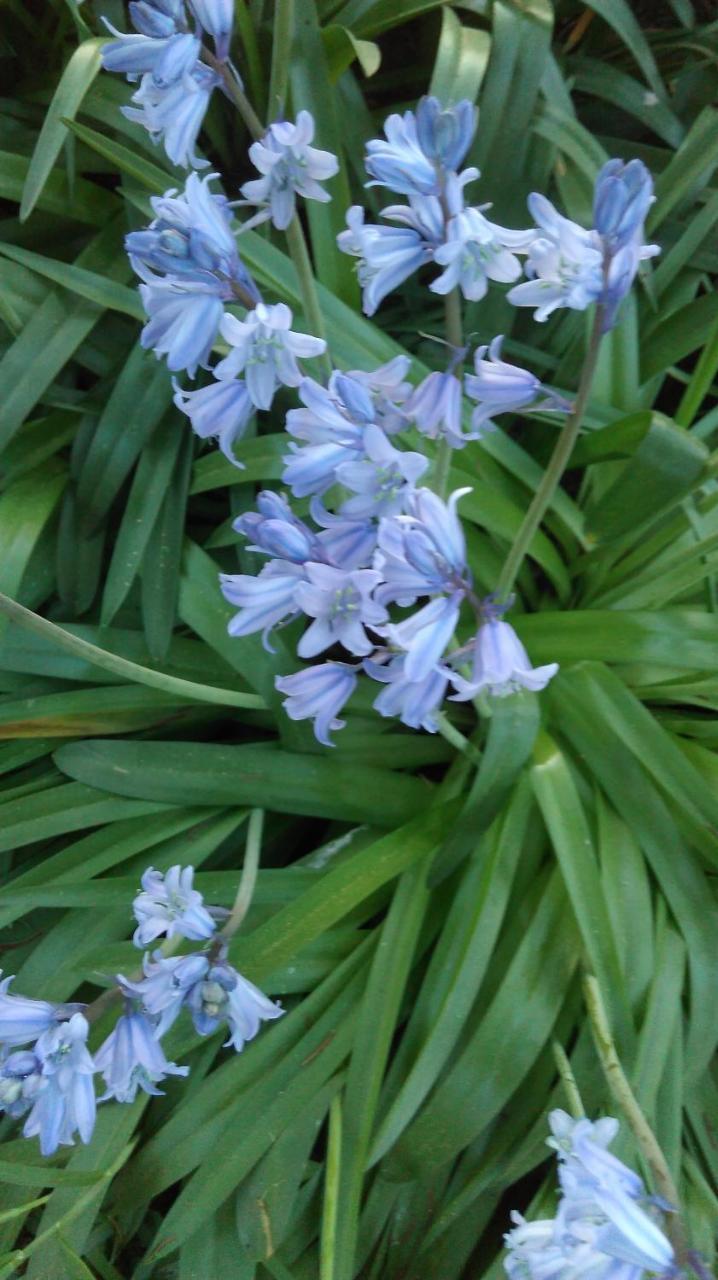 Le Jardin D'Eden - Hebergement Ferme Provisoirement Bed & Breakfast Giverny Exterior photo